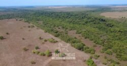 Venda de Fazenda 33.000 Has Lavoura e Pecuária Logística e Armazenamento | Porto Alegre do Norte/MT