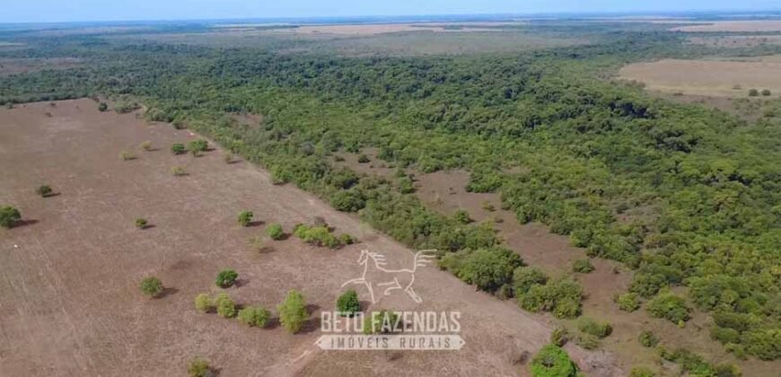 Venda de Fazenda 33.000 Has Lavoura e Pecuária Logística e Armazenamento | Porto Alegre do Norte/MT