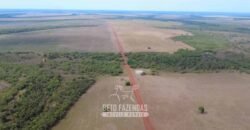 Venda de Fazenda 33.000 Has Lavoura e Pecuária Logística e Armazenamento | Porto Alegre do Norte/MT