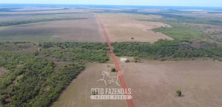 Venda de Fazenda 33.000 Has Lavoura e Pecuária Logística e Armazenamento | Porto Alegre do Norte/MT