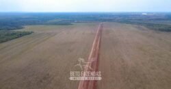 Venda de Fazenda 33.000 Has Lavoura e Pecuária Logística e Armazenamento | Porto Alegre do Norte/MT