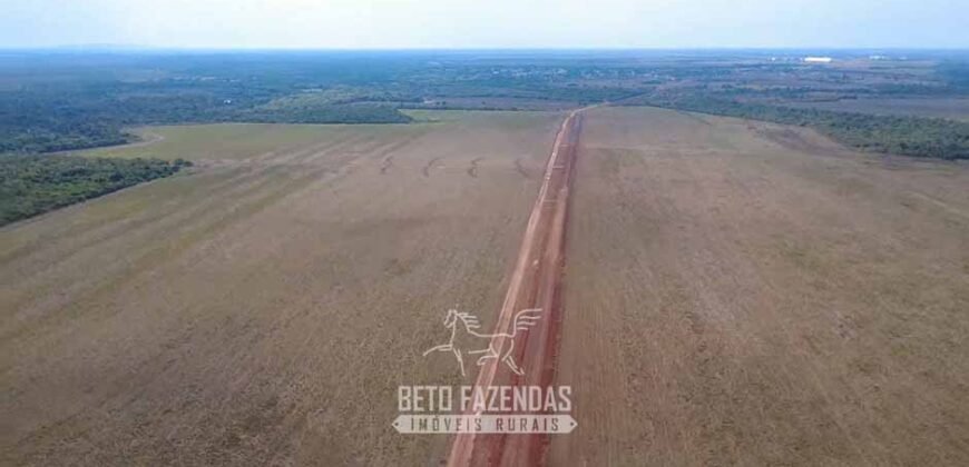 Venda de Fazenda 33.000 Has Lavoura e Pecuária Logística e Armazenamento | Porto Alegre do Norte/MT