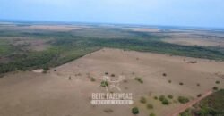 Venda de Fazenda 33.000 Has Lavoura e Pecuária Logística e Armazenamento | Porto Alegre do Norte/MT