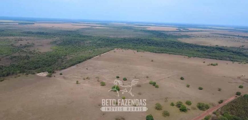Venda de Fazenda 33.000 Has Lavoura e Pecuária Logística e Armazenamento | Porto Alegre do Norte/MT