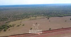 Venda de Fazenda 33.000 Has Lavoura e Pecuária Logística e Armazenamento | Porto Alegre do Norte/MT