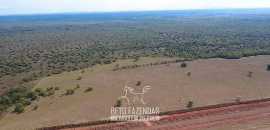 Venda de Fazenda 33.000 Has Lavoura e Pecuária Logística e Armazenamento | Porto Alegre do Norte/MT