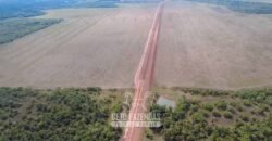 Venda de Fazenda 33.000 Has Lavoura e Pecuária Logística e Armazenamento | Porto Alegre do Norte/MT