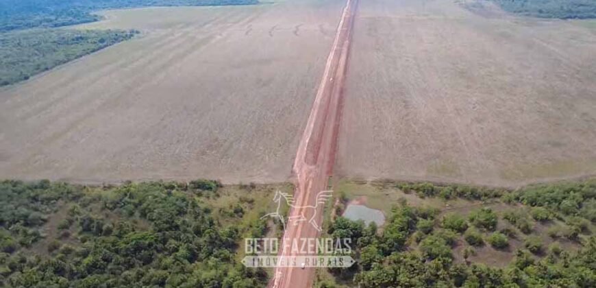 Venda de Fazenda 33.000 Has Lavoura e Pecuária Logística e Armazenamento | Porto Alegre do Norte/MT