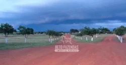 Venda de Fazenda de 176.000 hectares Gigante do Agronegócio | Aroazes/PI Venda de Fazenda de 176.000 hectares Gigante do Agronegócio | Aroazes/PI