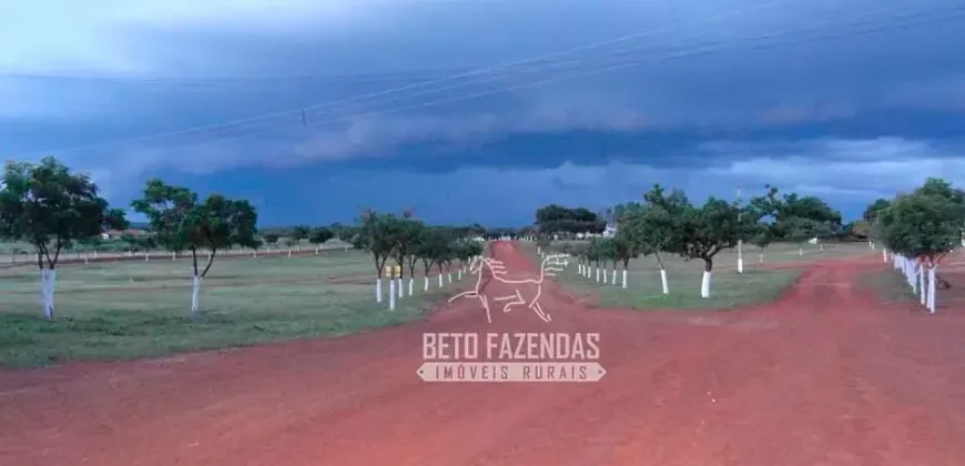 Venda de Fazenda de 176.000 hectares Gigante do Agronegócio | Aroazes/PI