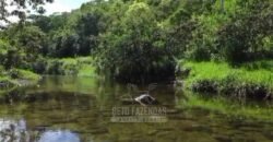 Fazenda à venda 300 Alqueires Paraíso Rural | Casimiro de Abreu/ RJ