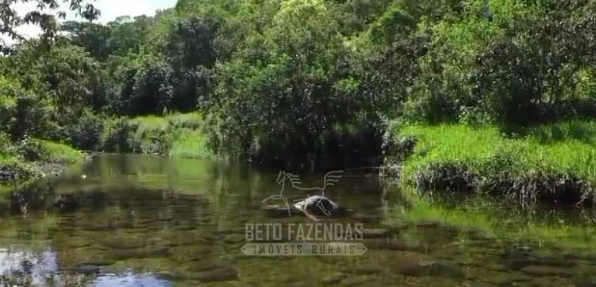 Fazenda à venda 300 Alqueires Paraíso Rural | Casimiro de Abreu/ RJ
