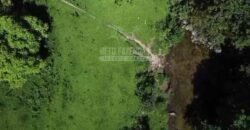 Fazenda à venda 300 Alqueires Paraíso Rural | Casimiro de Abreu/ RJ