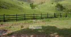 Sítio à Venda 10 Alqueires Paraíso Rural | Rio Preto/MG