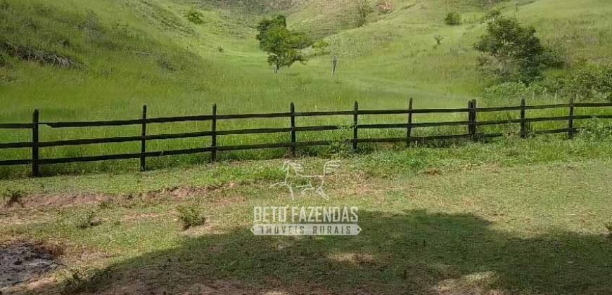 Sítio à Venda 10 Alqueires Paraíso Rural | Rio Preto/MG