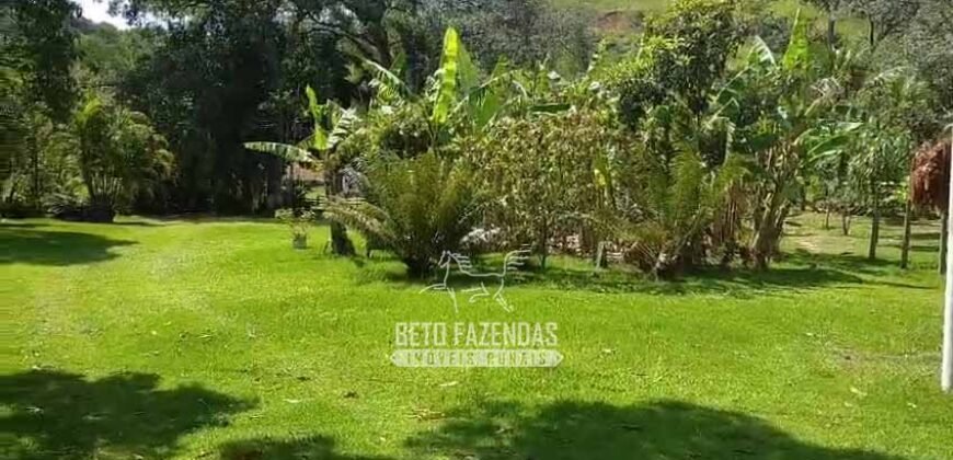 Sítio à Venda 10 Alqueires Paraíso Rural | Rio Preto/MG