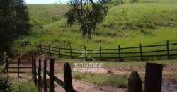 Sítio à Venda 10 Alqueires Paraíso Rural | Rio Preto/MG