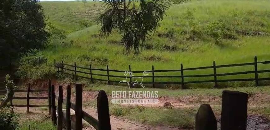 Sítio à Venda 10 Alqueires Paraíso Rural | Rio Preto/MG