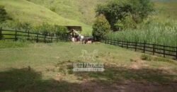Sítio à Venda 10 Alqueires Paraíso Rural | Rio Preto/MG