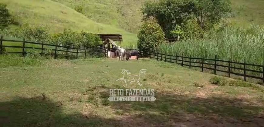Sítio à Venda 10 Alqueires Paraíso Rural | Rio Preto/MG