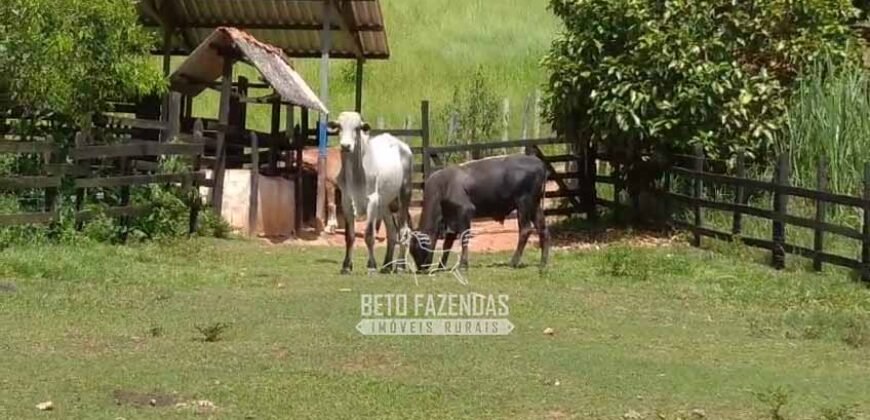 Sítio à Venda 10 Alqueires Paraíso Rural | Rio Preto/MG
