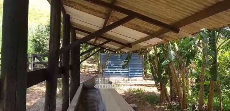 Sítio à Venda 10 Alqueires Paraíso Rural | Rio Preto/MG