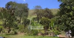 Sítio à Venda 10 Alqueires Paraíso Rural | Rio Preto/MG