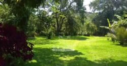 Sítio à Venda 10 Alqueires Paraíso Rural | Rio Preto/MG