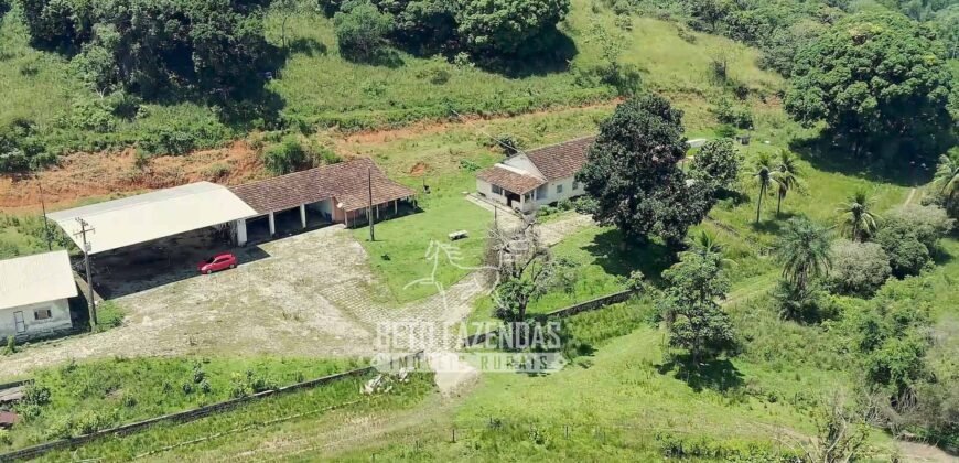Fazenda à Venda 474 Hectares Localização Estratégica e Potencial Turístico | Magé/RJ