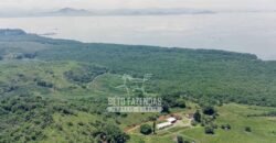 Fazenda à Venda 474 Hectares Localização Estratégica e Potencial Turístico | Magé/RJ