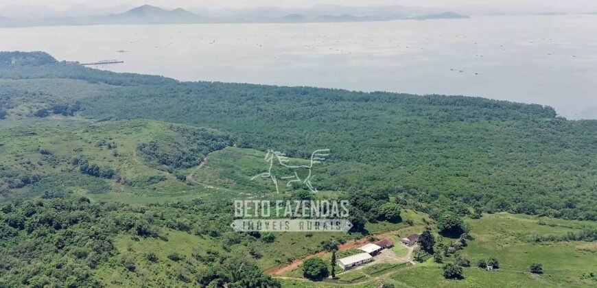 Fazenda à Venda 474 Hectares Localização Estratégica e Potencial Turístico | Magé/RJ