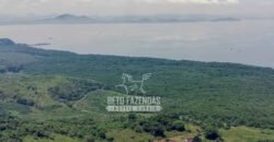 Fazenda à Venda 474 Hectares Localização Estratégica e Potencial Turístico | Magé/RJ