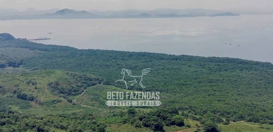 Fazenda à Venda 474 Hectares Localização Estratégica e Potencial Turístico | Magé/RJ