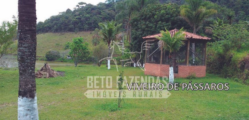 Fazenda à Venda 117,7 Hectares Paraíso Ecológico Potencial Turístico | Paracambi/RJ Fazenda à Venda 117,7 Hectares Paraíso Ecológico Potencial Turístico | Paracambi/RJ