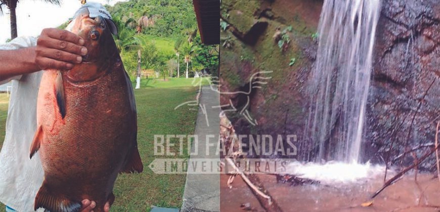 Fazenda à Venda 117,7 Hectares Paraíso Ecológico Potencial Turístico | Paracambi/RJ Fazenda à Venda 117,7 Hectares Paraíso Ecológico Potencial Turístico | Paracambi/RJ