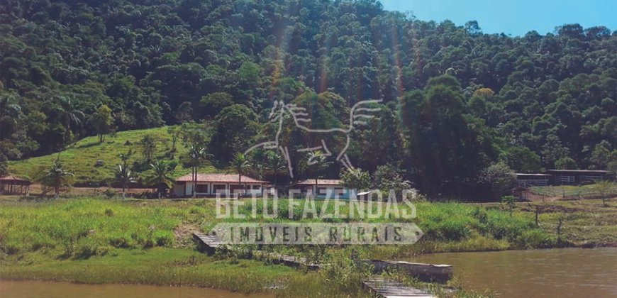 Fazenda à Venda 117,7 Hectares Paraíso Ecológico Potencial Turístico | Paracambi/RJ Fazenda à Venda 117,7 Hectares Paraíso Ecológico Potencial Turístico | Paracambi/RJ