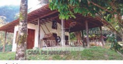 Fazenda à Venda 117,7 Hectares Paraíso Ecológico Potencial Turístico | Paracambi/RJ Fazenda à Venda 117,7 Hectares Paraíso Ecológico Potencial Turístico | Paracambi/RJ