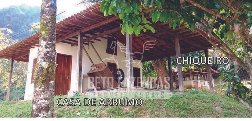 Fazenda à Venda 117,7 Hectares Paraíso Ecológico Potencial Turístico | Paracambi/RJ Fazenda à Venda 117,7 Hectares Paraíso Ecológico Potencial Turístico | Paracambi/RJ