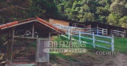 Fazenda à Venda 117,7 Hectares Paraíso Ecológico Potencial Turístico | Paracambi/RJ Fazenda à Venda 117,7 Hectares Paraíso Ecológico Potencial Turístico | Paracambi/RJ