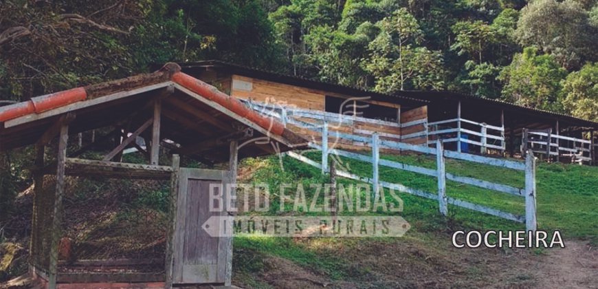Fazenda à Venda 117,7 Hectares Paraíso Ecológico Potencial Turístico | Paracambi/RJ Fazenda à Venda 117,7 Hectares Paraíso Ecológico Potencial Turístico | Paracambi/RJ
