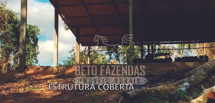 Fazenda à Venda 117,7 Hectares Paraíso Ecológico Potencial Turístico | Paracambi/RJ Fazenda à Venda 117,7 Hectares Paraíso Ecológico Potencial Turístico | Paracambi/RJ