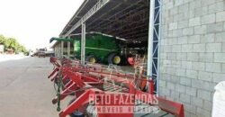 A Melhor Fazenda da Região 9.000 Hectares Agricultura e Pecuária | São João d’Aliança/ GO