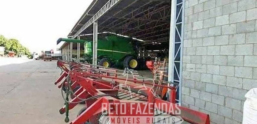 A Melhor Fazenda da Região 9.000 Hectares Agricultura e Pecuária | São João d’Aliança/ GO