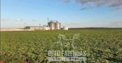 A Melhor Fazenda da Região 9.000 Hectares Agricultura e Pecuária | São João d’Aliança/ GO