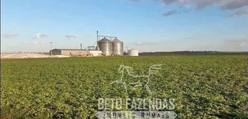 A Melhor Fazenda da Região 9.000 Hectares Agricultura e Pecuária | São João d’Aliança/ GO