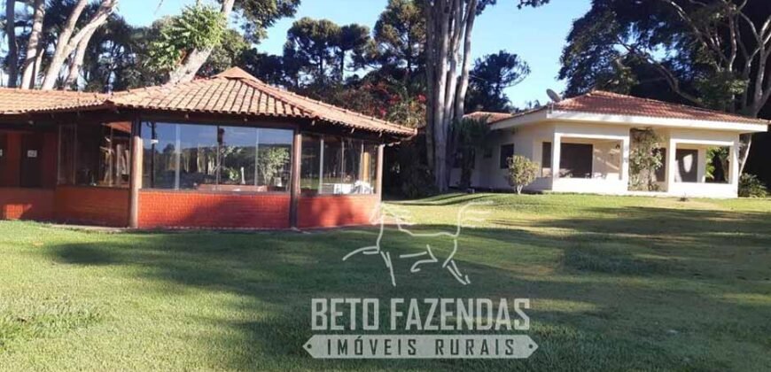 A Melhor Fazenda da Região 9.000 Hectares Agricultura e Pecuária | São João d’Aliança/ GO