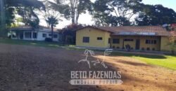 A Melhor Fazenda da Região 9.000 Hectares Agricultura e Pecuária | São João d’Aliança/ GO