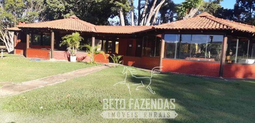 A Melhor Fazenda da Região 9.000 Hectares Agricultura e Pecuária | São João d’Aliança/ GO