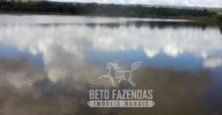 A Melhor Fazenda da Região 9.000 Hectares Agricultura e Pecuária | São João d’Aliança/ GO