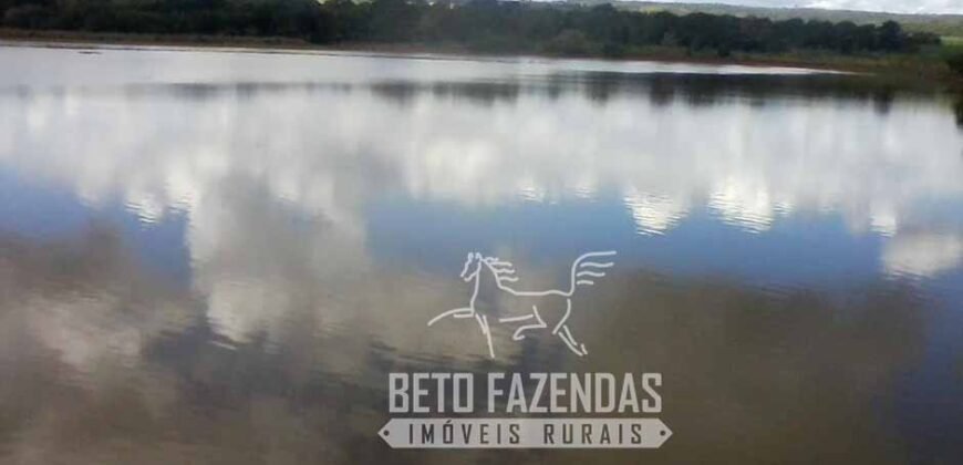 A Melhor Fazenda da Região 9.000 Hectares Agricultura e Pecuária | São João d’Aliança/ GO